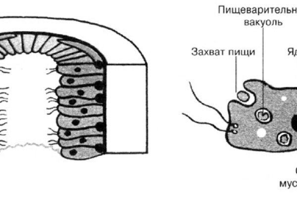 Кракен ссылка маркет vtor run