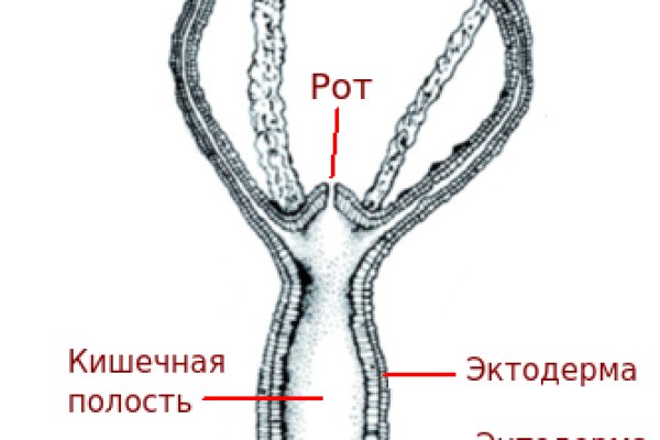 Кракен сайт зеркало рабочее